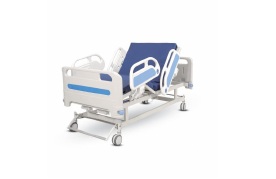 Electric Two Function Bed, medical equipment catalogue item 7