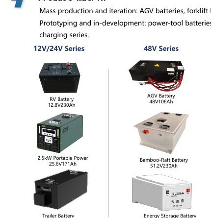 AGV, forklift, tricycle and utility battery formats