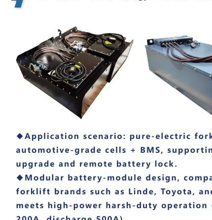 Custom industrial battery pack