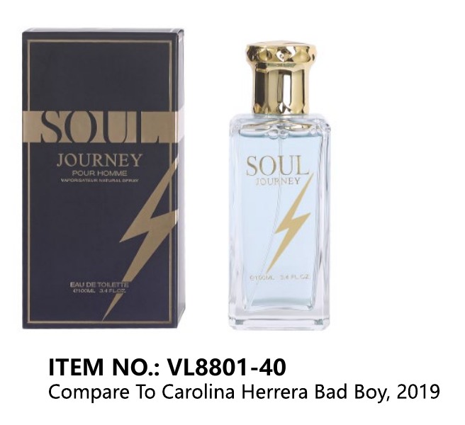 100 ml standard bottle - catalogue selection VL8801-42